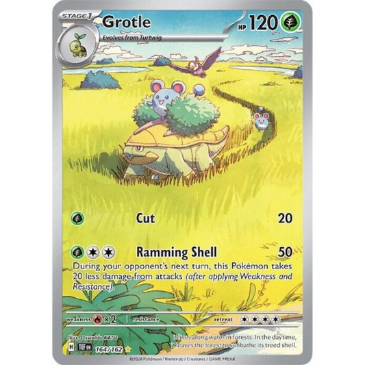 Grotle 164/162 IR NM