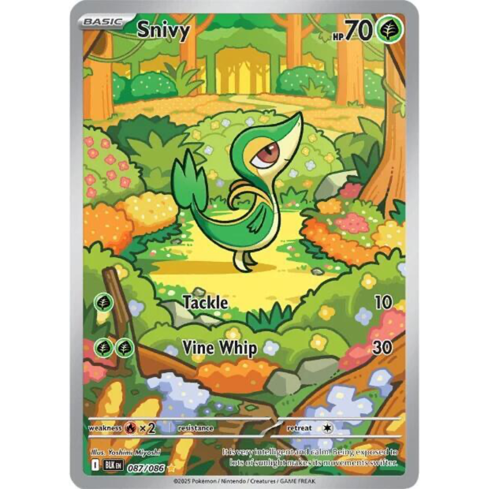 Snivy 087/086 Black Bolt Illustration Rare NM